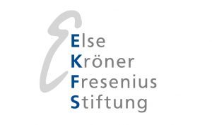 Logo_EKFS_grau_rgb_web1-300x177